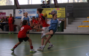 52820c8e4f51e_14F20131109LehonTrebeurden4.JPG