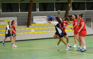 546313eeadbee_19FASCLehonPlouagat4001.JPG