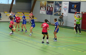 57d5950a00c7f_SFCoupedeFrance14.JPG