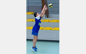 5c3b76b9c274a_P1030176.jpg