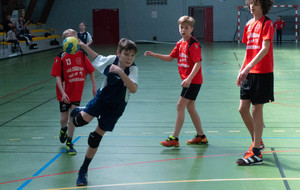 5ca082fc673bb_P1060218.jpg