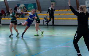 5ccebf21a24ca_P1080876.jpg