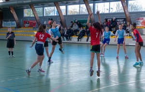 5e1caad0dc057_P1210937.jpg