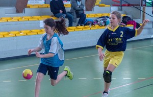 5e405b6ee0387_P1240494.jpg